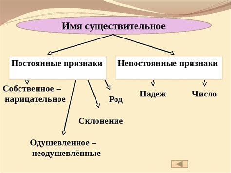 Важные черты существительного: объяснение и иллюстрации