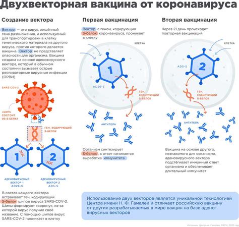 Вакцинация и иммуногенность: связь понятий