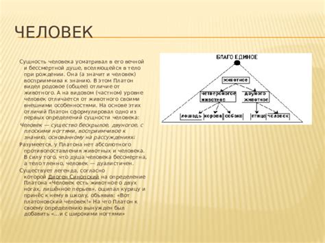 Валовый человек: определение и сущность