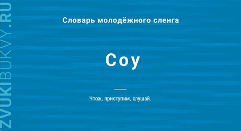 Варианты использования слова 'соу'