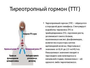 Варианты лечения повышенного уровня ГСГ-гормона