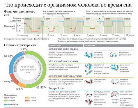 Варианты объяснения значения сна с морским организмом в различных культурах