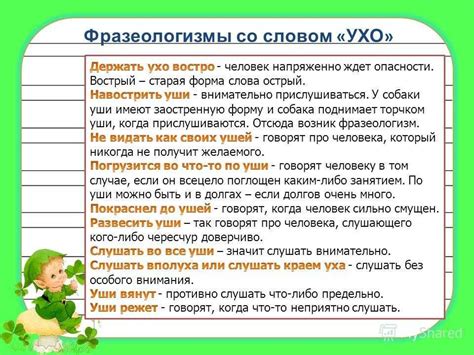 Вариации фразеологизма "как убитый" в других языках