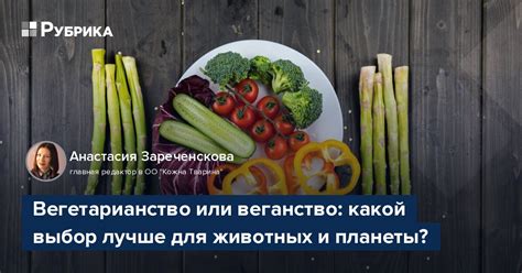 Вегетарианство, веганство или мясоедение - какая диета лучше?