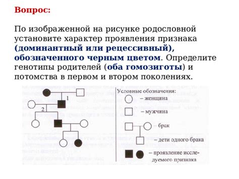 Ведение родословной и учета потомства