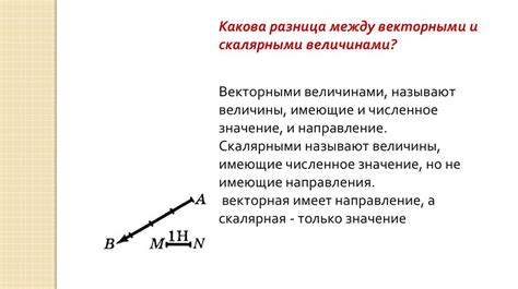 Векторная и скалярная величина: основные отличия и примеры