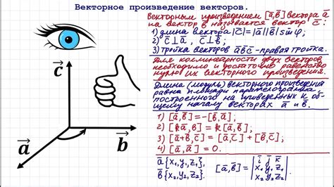 Векторные отношения: основные понятия и определения