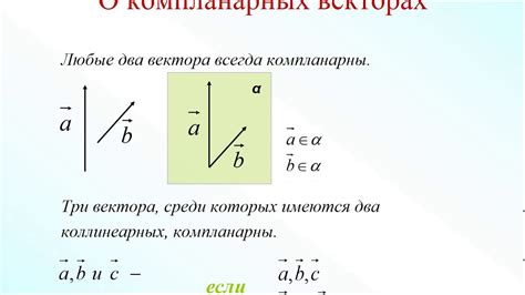 Векторы и коллинеарность: определение и свойства