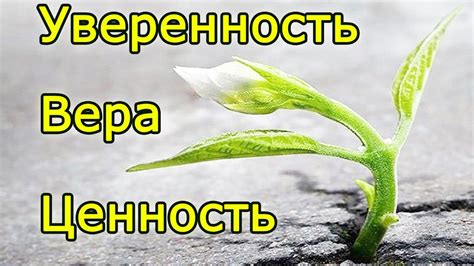 Вера в себя и уверенность