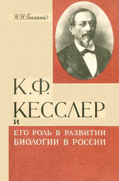 Вертикальный характер и его роль в развитии