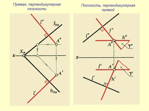 Взаимное положение перпендикулярных прямых на плоскости