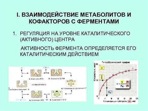 Взаимодействие Тофизопама с ферментами метаболизма