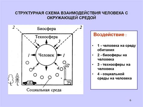 Взаимодействие белуг с окружающей средой через крики