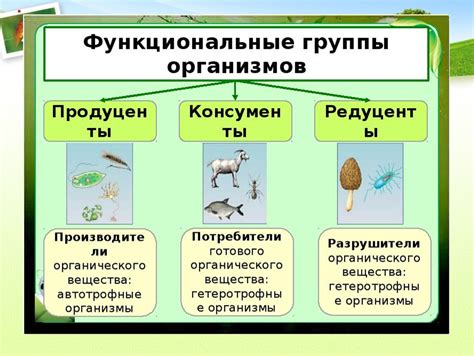 Взаимодействие организмов в природном сообществе