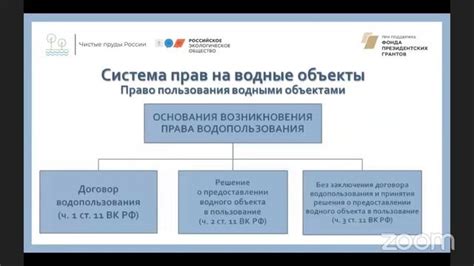 Взаимодействие с госорганами и участие в тендерах