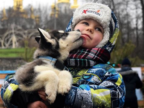 Взаимодействие с питомцами во сне: проявление инстинктов и эмоций