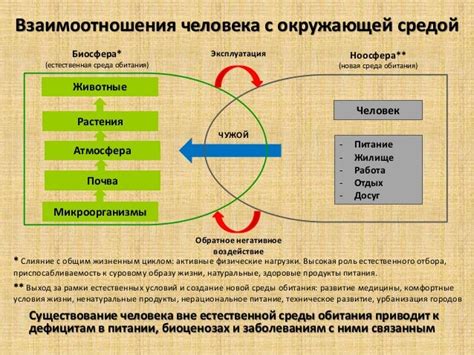 Взаимодействие человека и верховой животной во сновидении: значения и нюансы