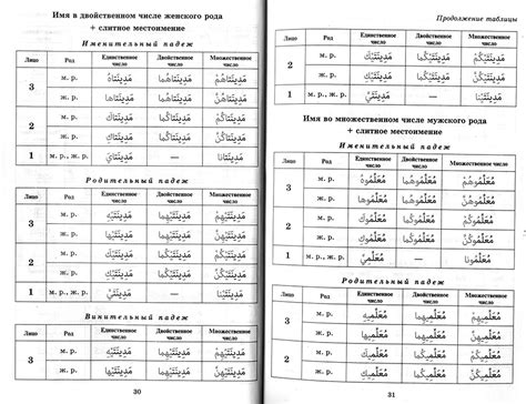 Взаимопонимание и учеба на арабском языке