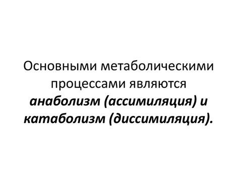 Взаимосвязь баланса на входе с метаболическими процессами