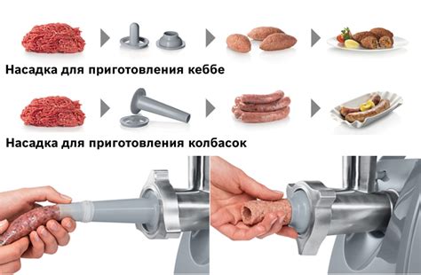 Взаимосвязь домашней животной сырой мясорубки и нашими воздействиями