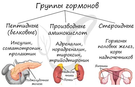 Взаимосвязь железа и организма