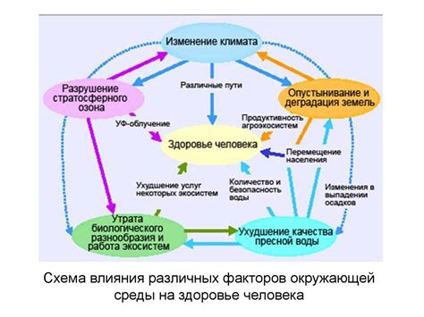 Взаимосвязь здоровья и окружающей среды