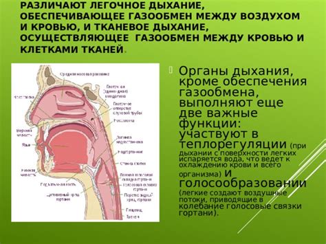 Взаимосвязь между ощущением тяжести в дыхании в ночных снах и состоянием здоровья