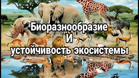 Взаимосвязь между сновидениями о корнях деревьев и их устойчивостью