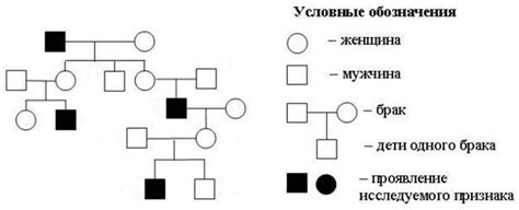 Взаимосвязь наследования с полиморфизмом и инкапсуляцией