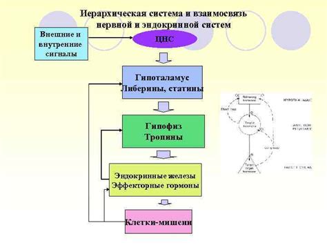 Взаимосвязь пиркода и систем