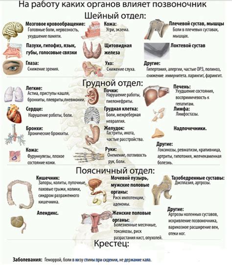 Взаимосвязь пролактина 671 с органами и системами