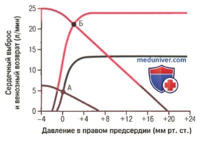 Взаимосвязь сердечного выброса с физической активностью