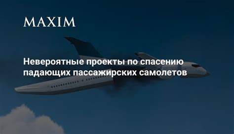 Видеоинструкция по спасению падающих гусей