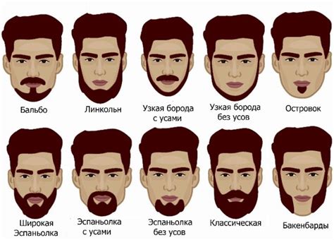 Виды бород: от известных литовских до современных морской свины