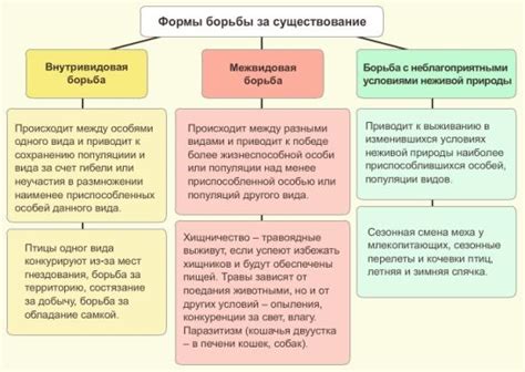 Виды борьбы за человека