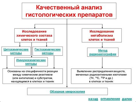 Виды гистологических препаратов и их преимущества