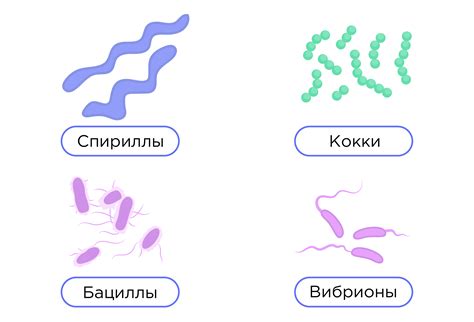 Виды головлёвов