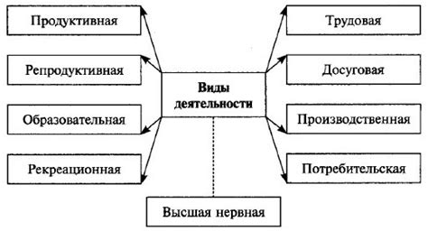 Виды деятельности, связанные с квалификацией