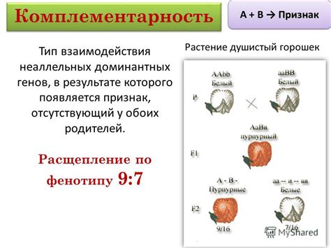 Виды доминантных генов