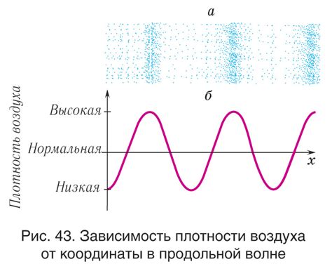 Виды звуковой волны