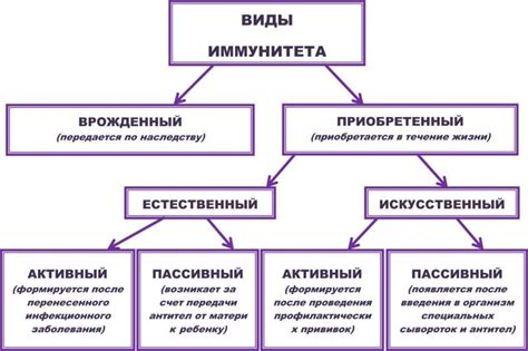 Виды иммунитета: природный и адаптивный