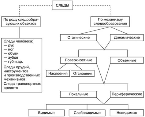Виды и категории следов вещества