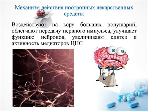 Виды и классификация ноотропных средств