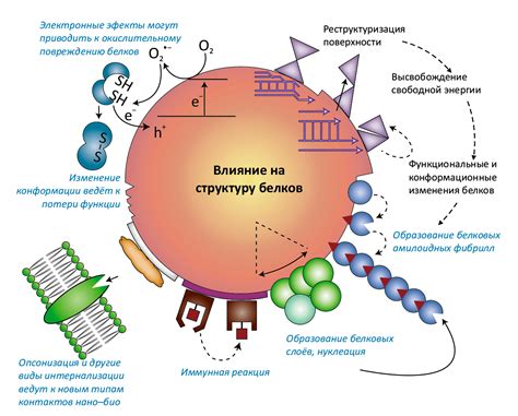 Виды и размеры магнитных винилов