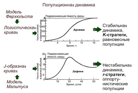 Виды и устойчивость популяции