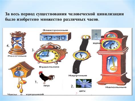 Виды кинетических часов