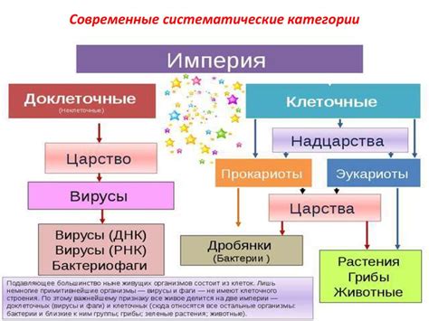 Виды классификации и их роль