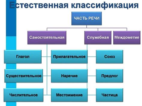 Виды классификации объектов природы