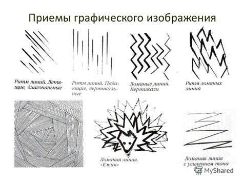 Виды контурных линий в графическом дизайне