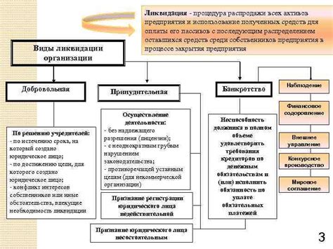 Виды ликвидации организации и их особенности